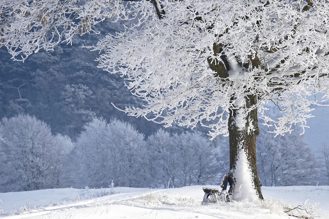 Stapel duurzame herfst- en winteraccessoires Stapel duurzame herfst- en winteraccessoires
